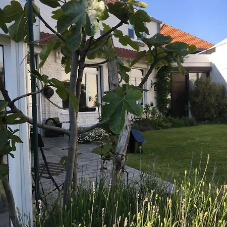 Guest house A La Dolce